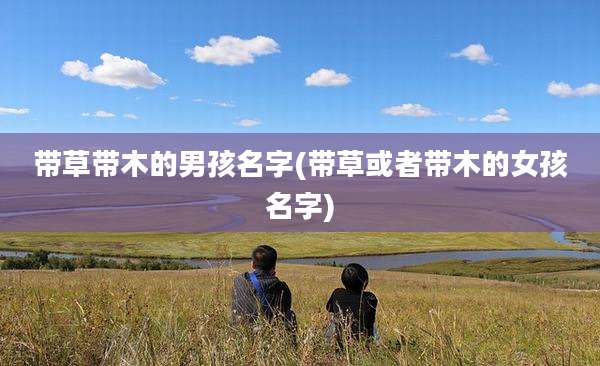 带草带木的男孩名字(带草或者带木的女孩名字)