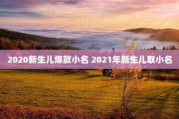2020新生儿爆款小名 2021年新生儿取小名