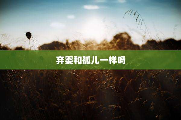 弃婴和孤儿一样吗