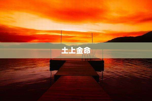 土上金命