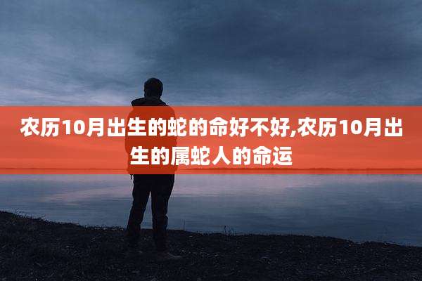 农历10月出生的蛇的命好不好,农历10月出生的属蛇人的命运