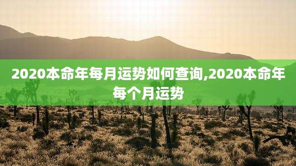 2020本命年每月运势如何查询,2020本命年每个月运势