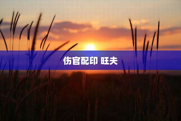 伤官配印 旺夫