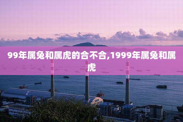 99年属兔和属虎的合不合,1999年属兔和属虎