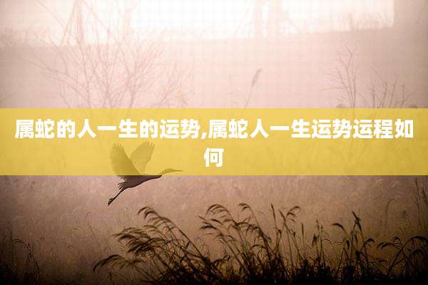 属蛇的人一生的运势,属蛇人一生运势运程如何