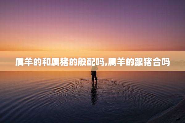 属羊的和属猪的般配吗,属羊的跟猪合吗