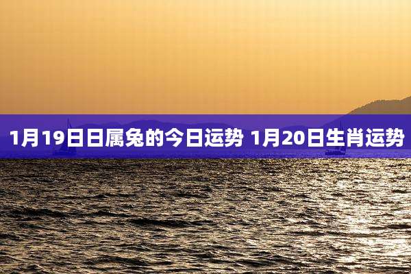 1月19日日属兔的今日运势 1月20日生肖运势