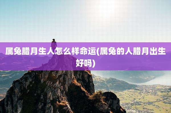 属兔腊月生人怎么样命运(属兔的人腊月出生好吗)