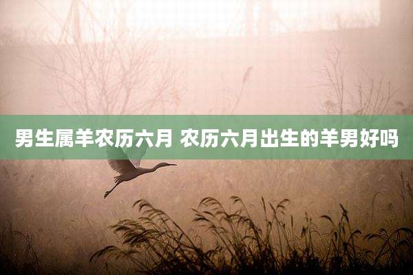 男生属羊农历六月 农历六月出生的羊男好吗