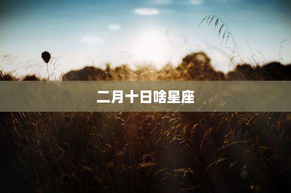 二月十日啥星座