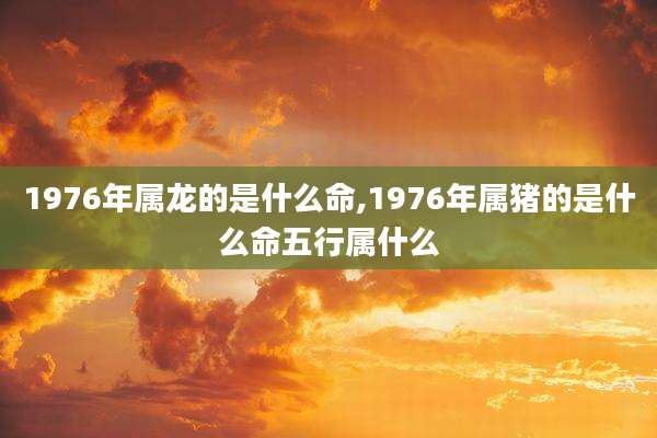 1976年属龙的是什么命,1976年属猪的是什么命五行属什么