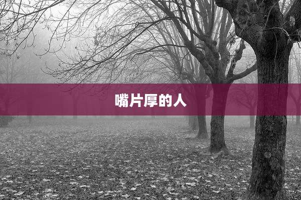 嘴片厚的人