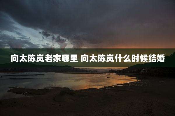 向太陈岚老家哪里 向太陈岚什么时候结婚