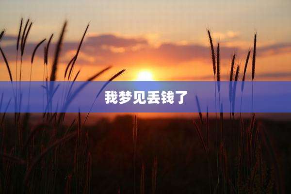 我梦见丢钱了