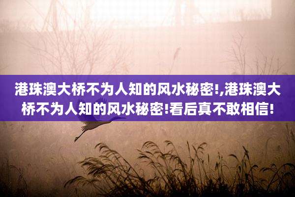 港珠澳大桥不为人知的风水秘密!,港珠澳大桥不为人知的风水秘密!看后真不敢相信!