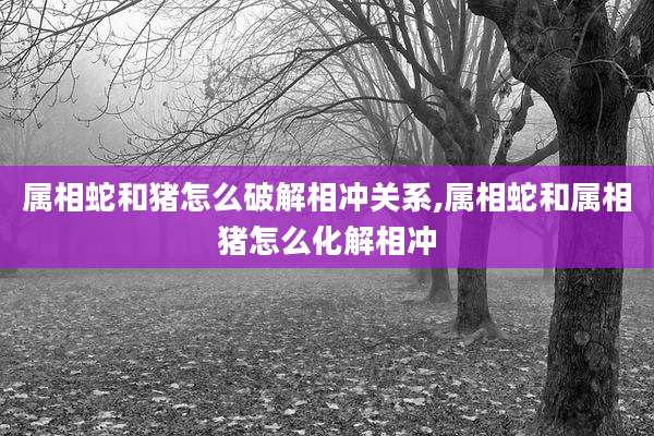 属相蛇和猪怎么破解相冲关系,属相蛇和属相猪怎么化解相冲