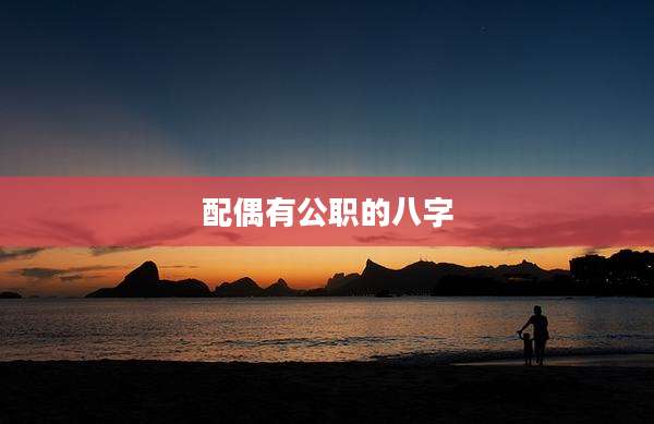 配偶有公职的八字