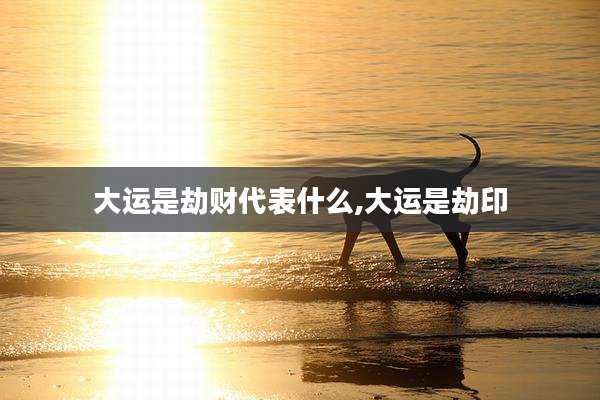 大运是劫财代表什么,大运是劫印