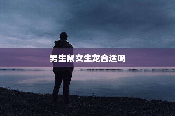 男生鼠女生龙合适吗