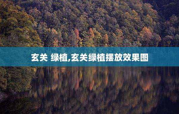 玄关 绿植,玄关绿植摆放效果图
