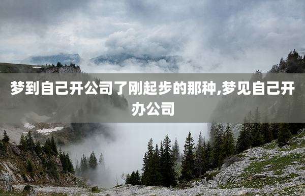 梦到自己开公司了刚起步的那种,梦见自己开办公司