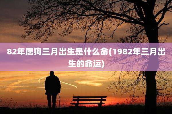82年属狗三月出生是什么命(1982年三月出生的命运)