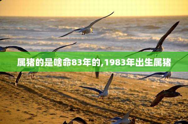 属猪的是啥命83年的,1983年出生属猪