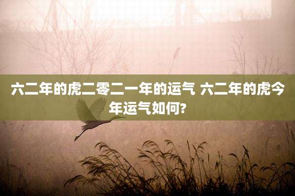 六二年的虎二零二一年的运气 六二年的虎今年运气如何?