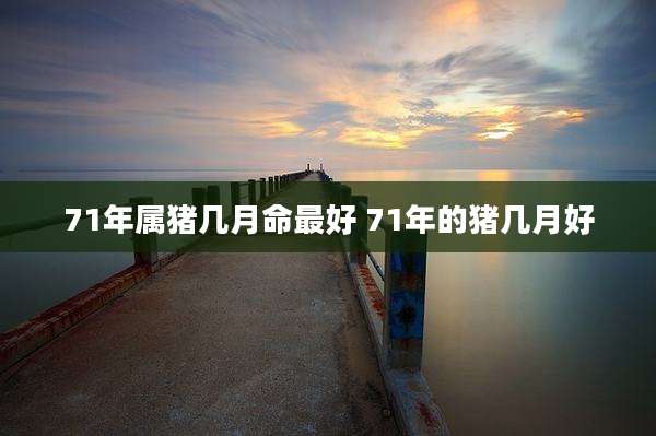 71年属猪几月命最好 71年的猪几月好
