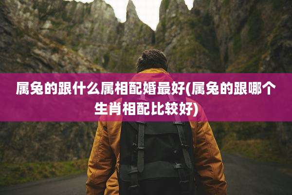 属兔的跟什么属相配婚最好(属兔的跟哪个生肖相配比较好)