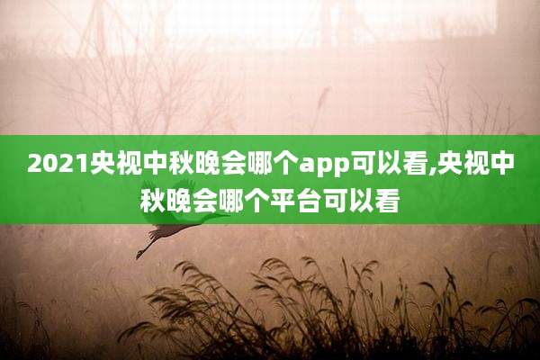 2021央视中秋晚会哪个app可以看,央视中秋晚会哪个平台可以看