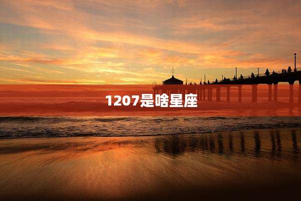 1207是啥星座