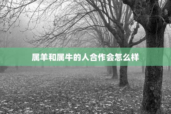 属羊和属牛的人合作会怎么样
