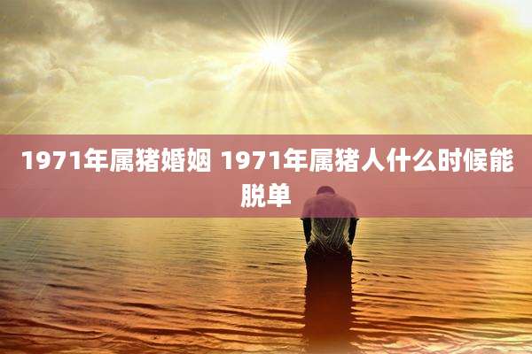 1971年属猪婚姻 1971年属猪人什么时候能脱单