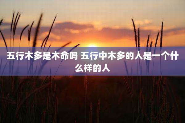五行木多是木命吗 五行中木多的人是一个什么样的人