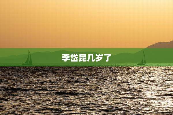 李岱昆几岁了