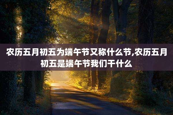 农历五月初五为端午节又称什么节,农历五月初五是端午节我们干什么