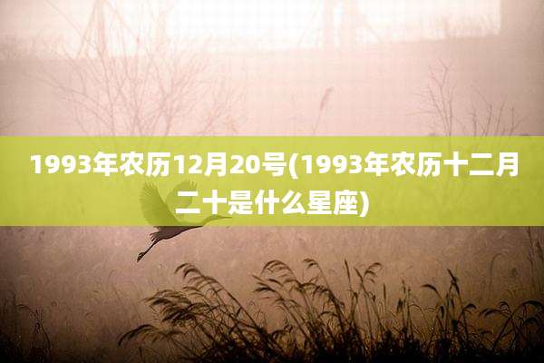 1993年农历12月20号(1993年农历十二月二十是什么星座)