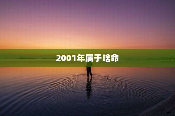 2001年属于啥命