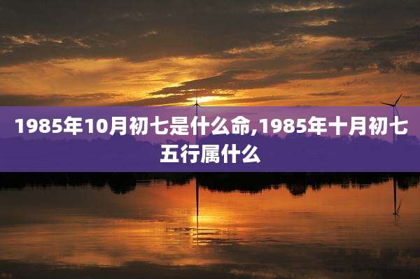 1985年10月初七是什么命,1985年十月初七五行属什么