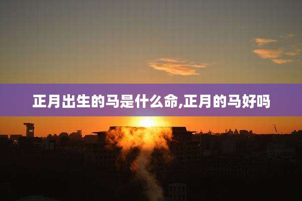 正月出生的马是什么命,正月的马好吗