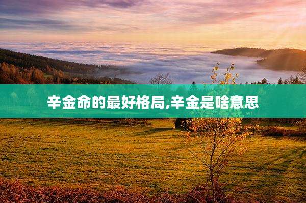 辛金命的最好格局,辛金是啥意思