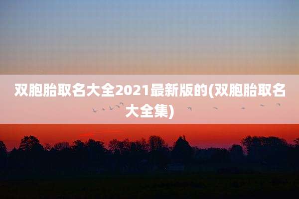 双胞胎取名大全2021最新版的(双胞胎取名大全集)