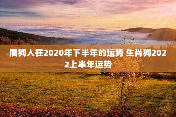 属狗人在2020年下半年的运势 生肖狗2022上半年运势