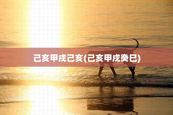 己亥甲戌己亥(己亥甲戌癸巳)