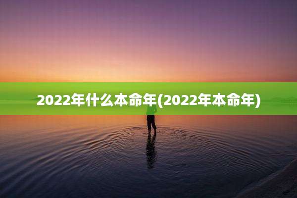 2022年什么本命年(2022年本命年)