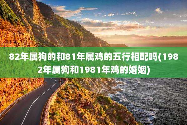 82年属狗的和81年属鸡的五行相配吗(1982年属狗和1981年鸡的婚姻)