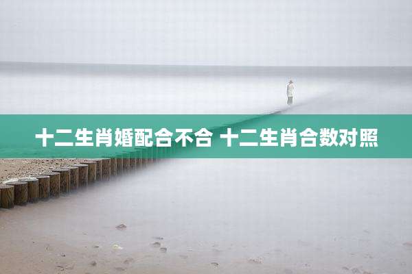 十二生肖婚配合不合 十二生肖合数对照