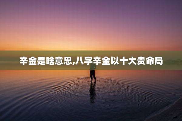 辛金是啥意思,八字辛金以十大贵命局