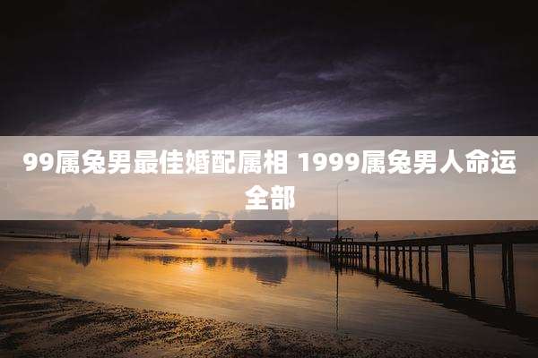99属兔男最佳婚配属相 1999属兔男人命运全部